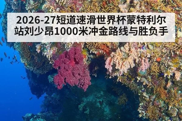 2026-27短道速滑世界杯蒙特利尔站刘少昂1000米冲金路线与胜负手